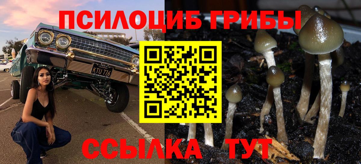 Биробиджан  Псилоцибиновые грибы мухоморы  Вход с VPN 